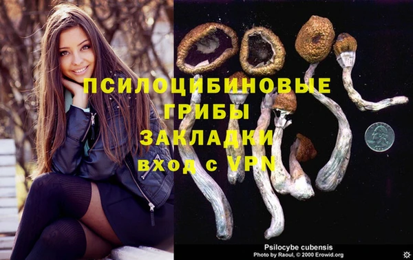не бодяженный Армянск