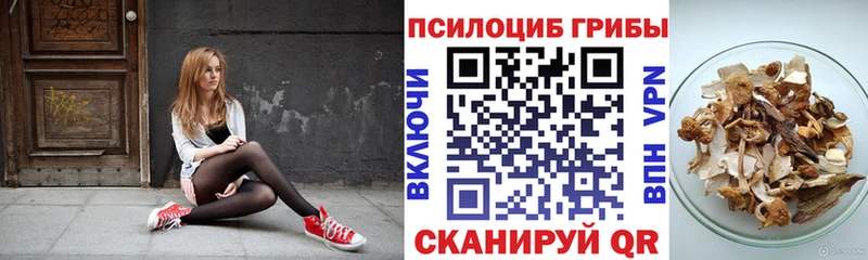 Псилоцибиновые грибы Magic Shrooms  Усть-Илимск 